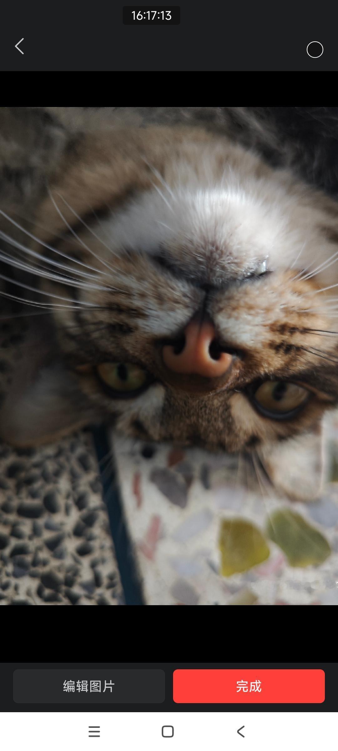 白头鹰家有一企业，财大气粗心眼黑

它看中一家核心供应商的技术资产，喂饱几个月高