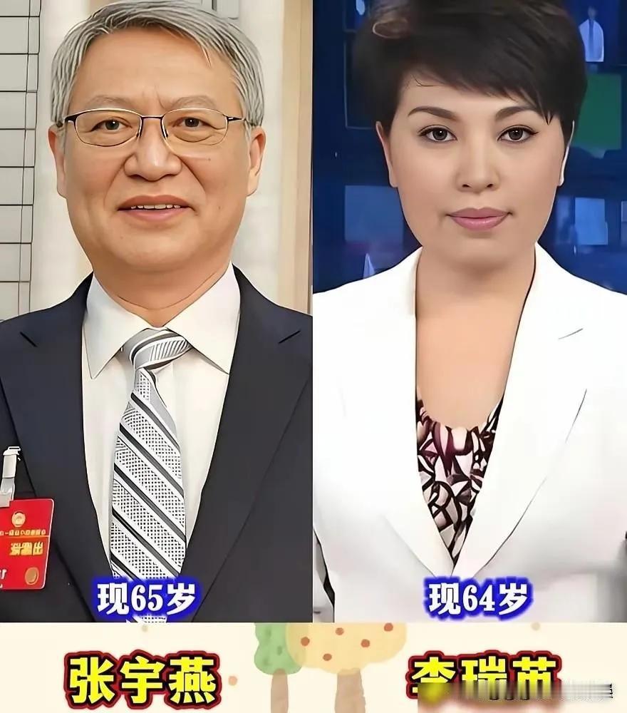 央视主持人的爱情故事，展示了他们之间的默契与温柔。康辉与刘雅洁、白岩松与朱宏钧的