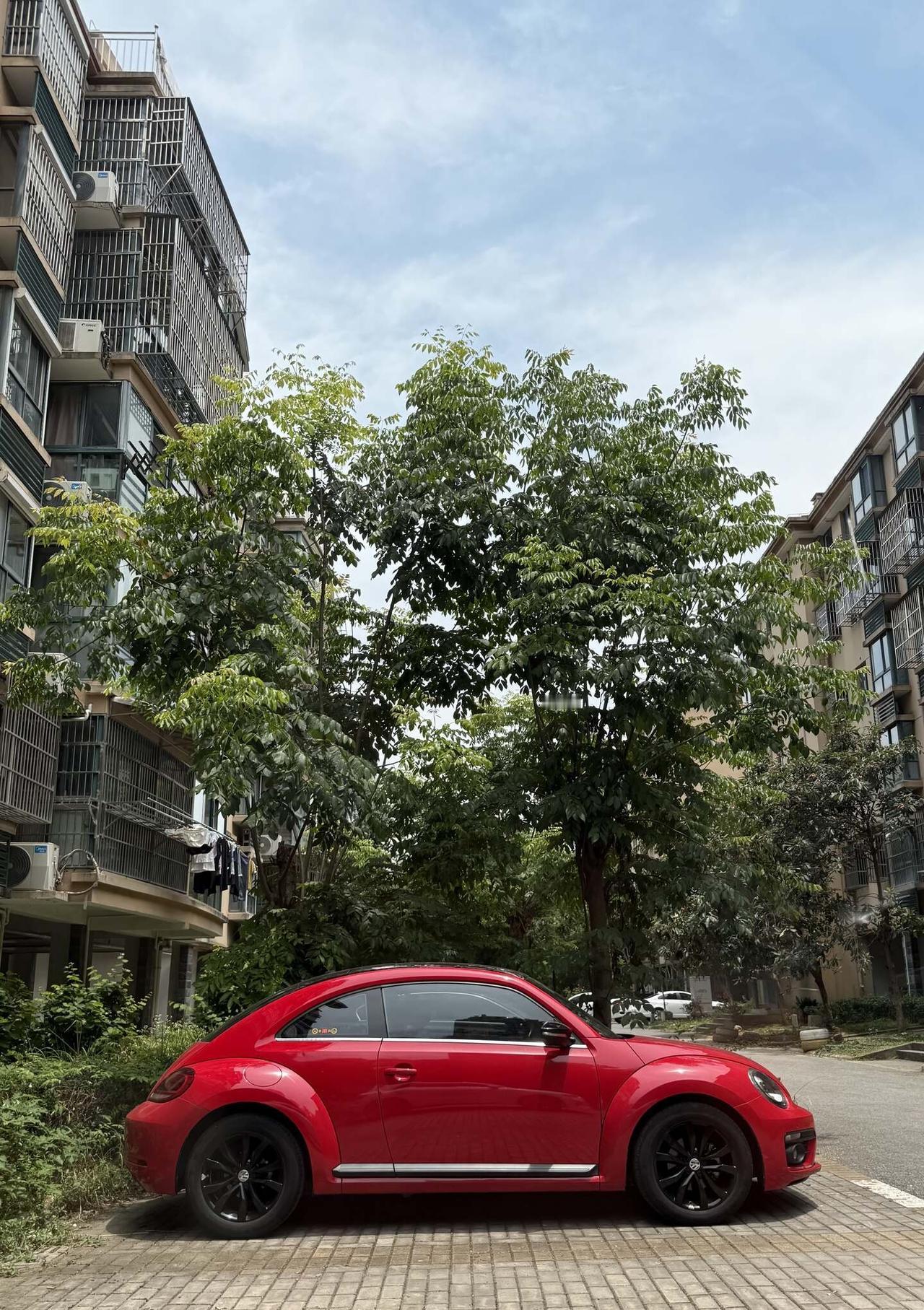 洗完澡就出发甲壳虫 我的爱车日常 汽美爱好者 洗车