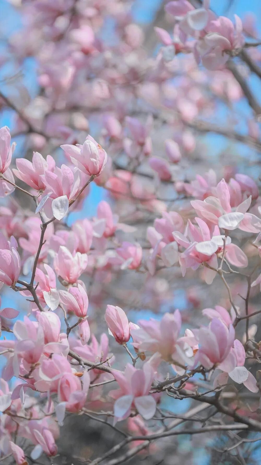 #上联：秋叶黄时思故人，诚邀下联#下联：春风暖日忆旧情，共赏繁花。 

这样的下
