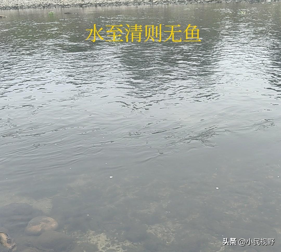 凭什么我比他们赚得少？不少职工不满管理层（包工头）收入高于自己，却未思考，没有包