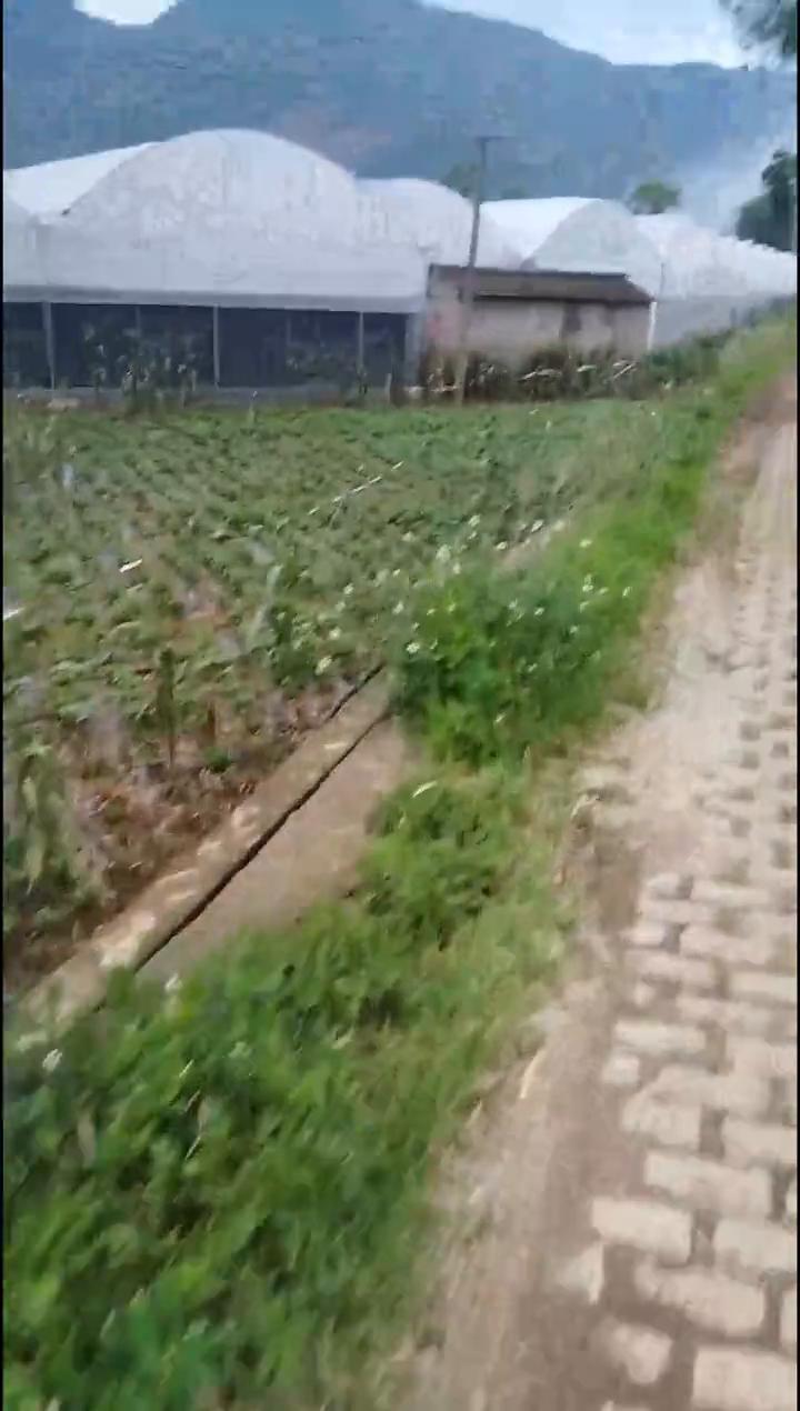 找到了没？