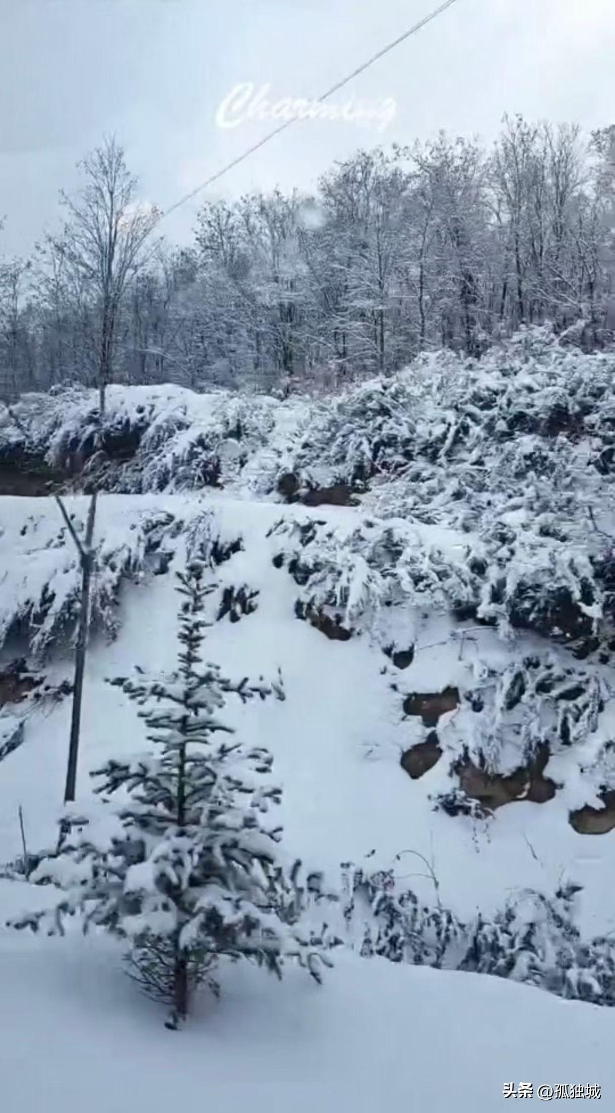昨晚上七点多的时候突然胸闷，心慌，针扎般的疼，并且头晕的不敢睁眼睛，我以为这是心