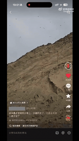 上千只幼鸟被活生生埋在沙土里，铲车还在疯狂作业，拍摄者却只能含泪删视频？这一幕真