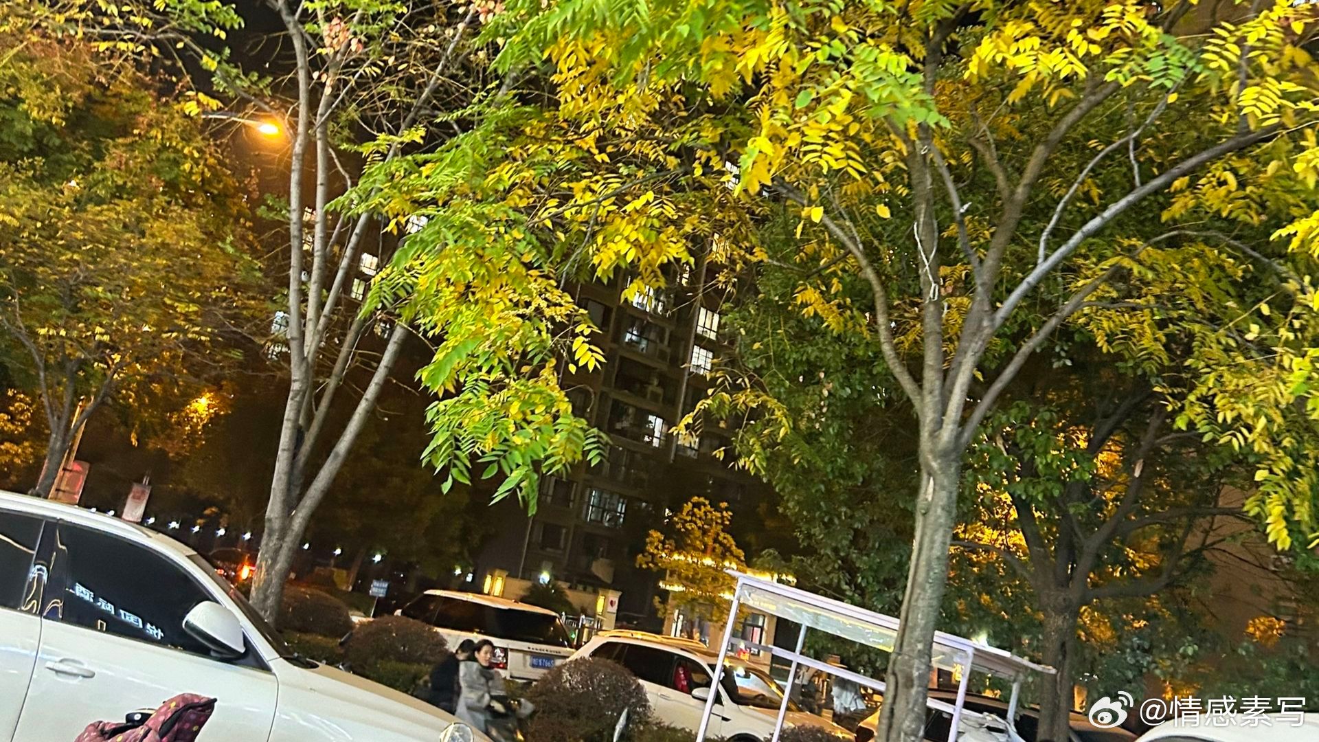 随手拍水太烫不敢喝，人心太凉不敢碰。不是不在意，是在意了也没结果；不是不难过，是