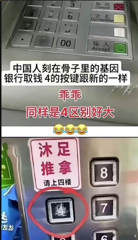 谁说粪坑的石头就又丑又硬，只不过它呆错了地方。 ​​​