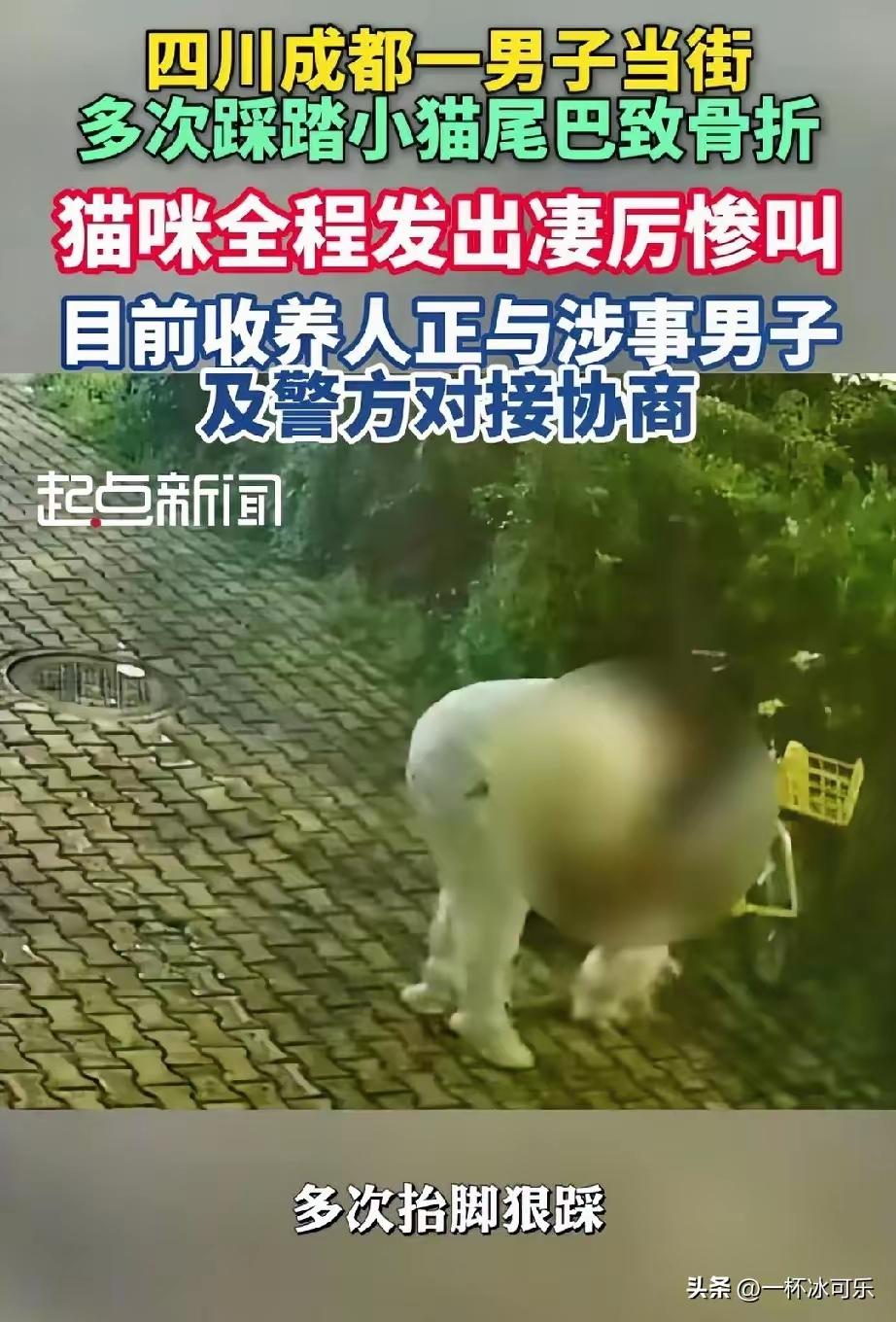 可以不爱，但不要伤害！


6月19日是端午假期的第一天，成都某宠物医院的门口，