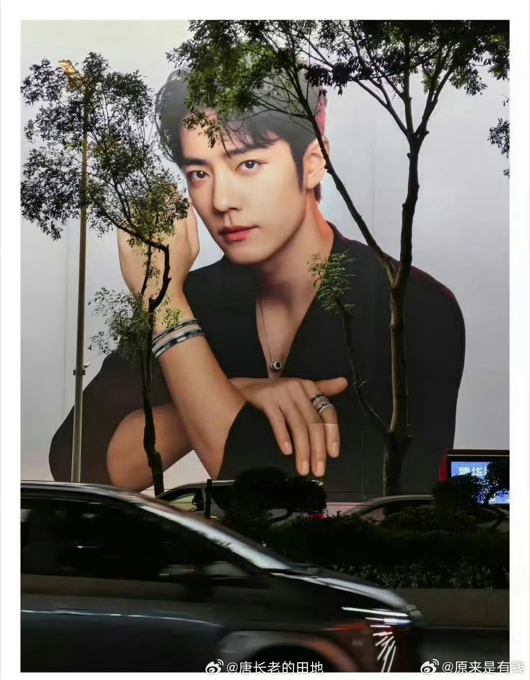 肖战宝诗龙还是我家战帅 