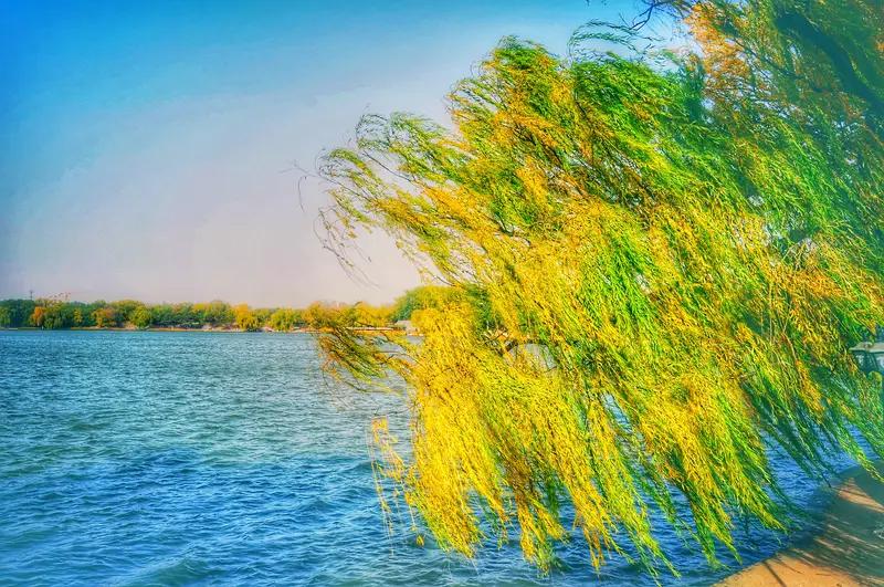 AI妙生图河边風戏柳。