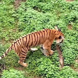 古道旁歇息的挑夫