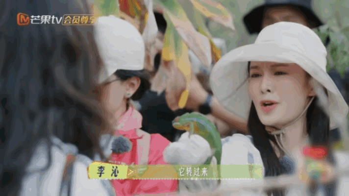 《花少7》李沁这段想出片的心太真实了​还得是一生要出片的中国女人！《花儿与少年7