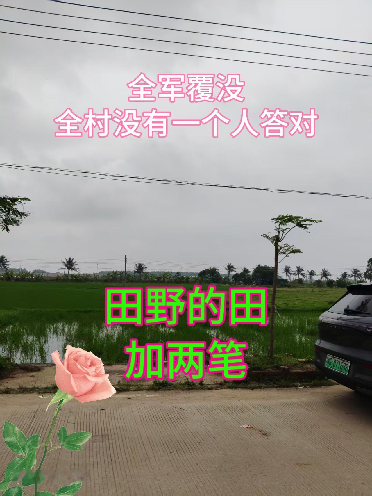 自家田种植 涨知识猜字上热门