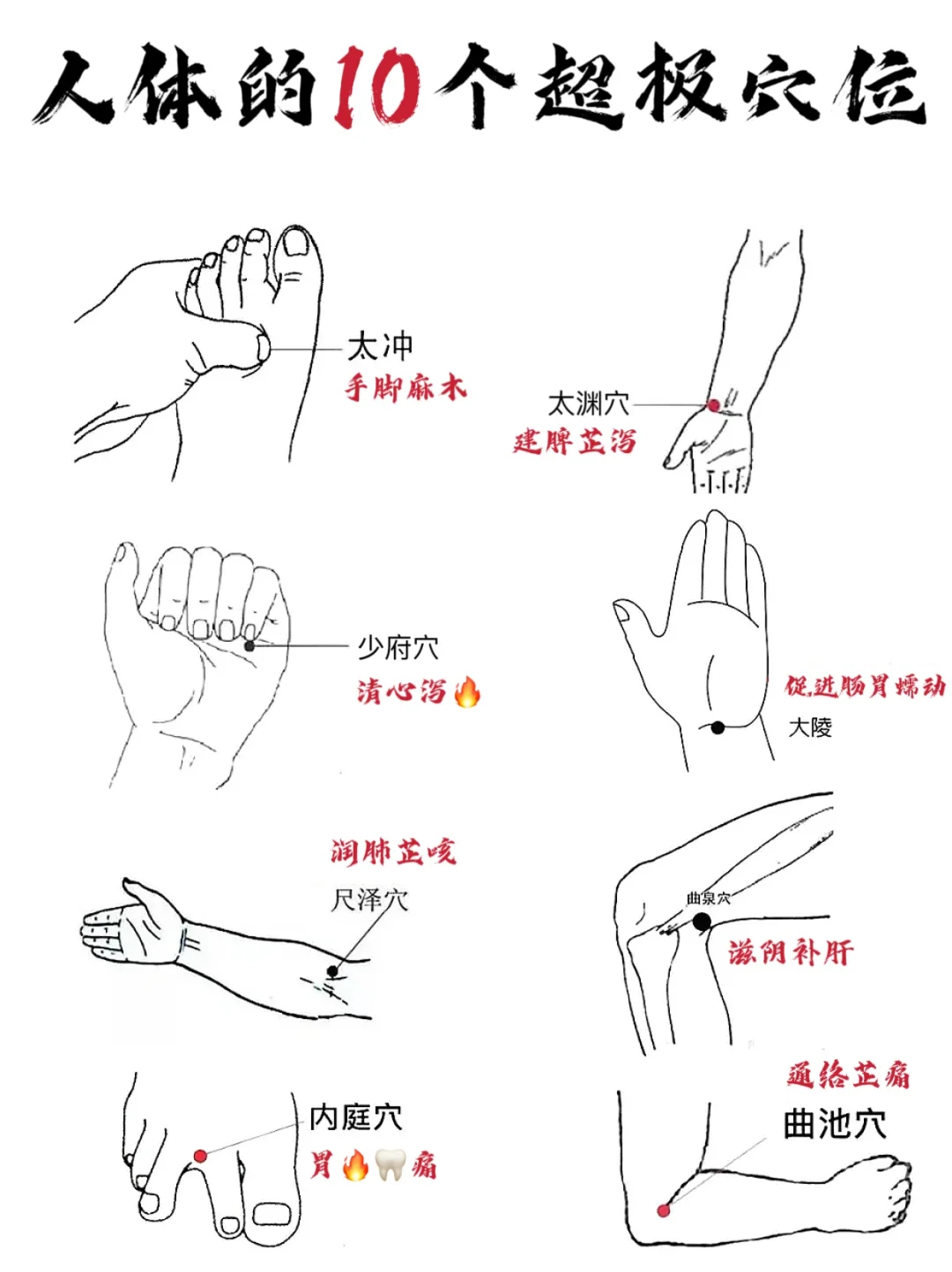 🧍🏻‍♀️人体10大穴位👉