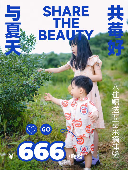 端午采摘🫐杭州700米高山蓝莓免费采摘啦！