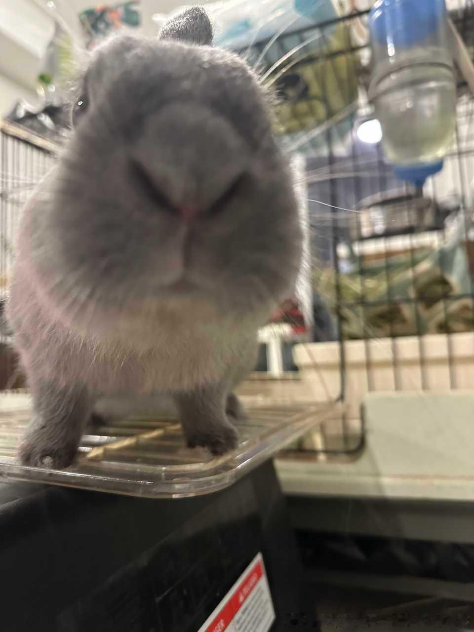 14331🐇【人。】我要咬你一口哦。 