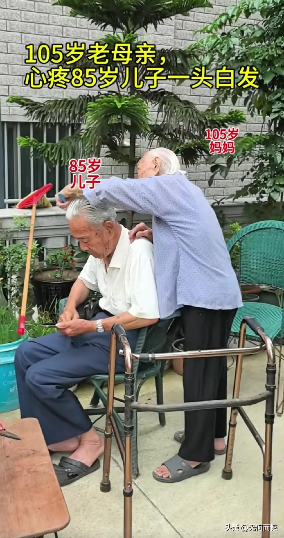 105岁的老奶奶，给85岁的儿子梳头发，这样的画面真是太少见了，人到了85岁的时