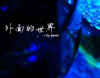 #才发现外面的世界在偷偷进步了#科技在飞速发展，生活也在不断地变化。只有不断学习