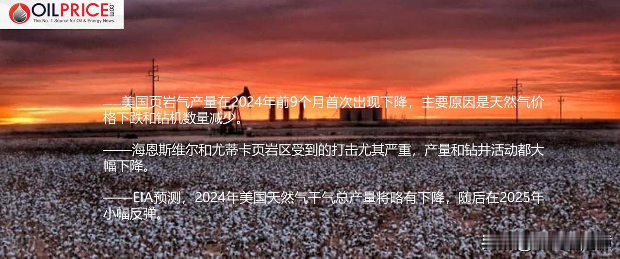 美国页岩气热潮正在失去动力吗？

石油和天然气田，无论多么高产，最终都会衰落。在