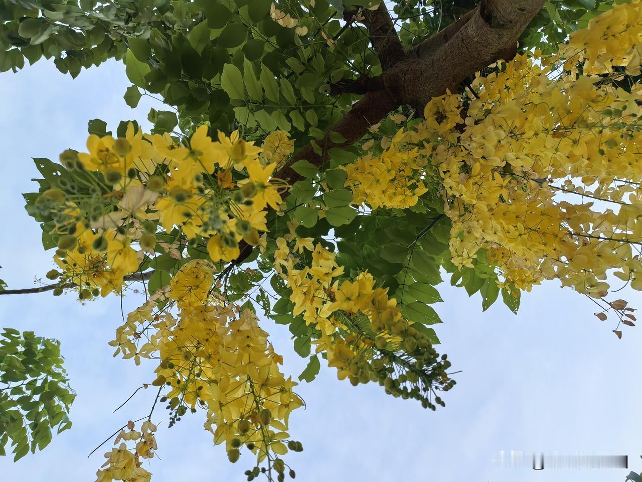 [彩虹]又是被人民日报治愈的一天！
[心]一个人爱自己的5个层次，看看你在哪一层