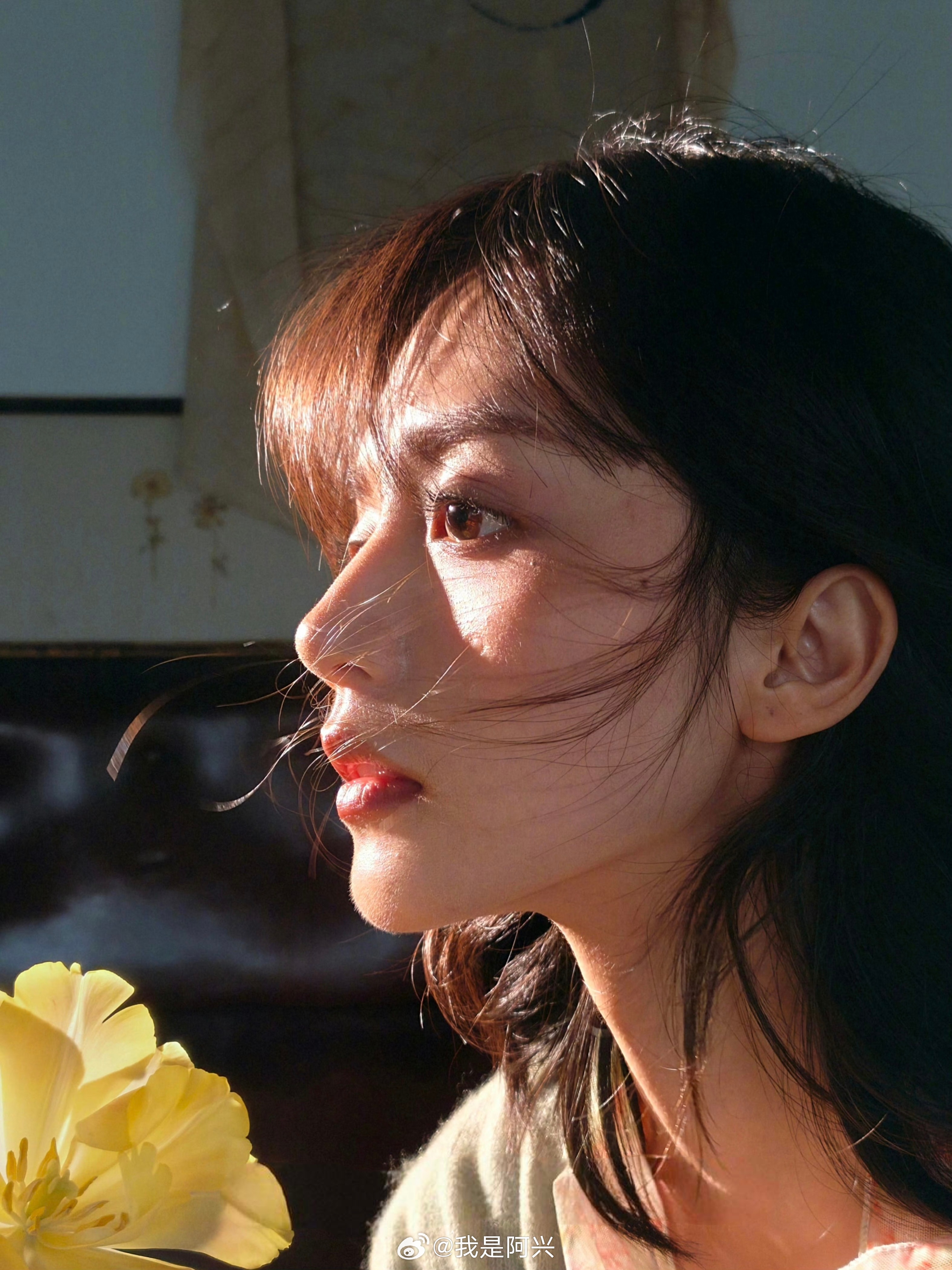 早☀️这手机陶瓷后盖手感真的好每日早起打卡