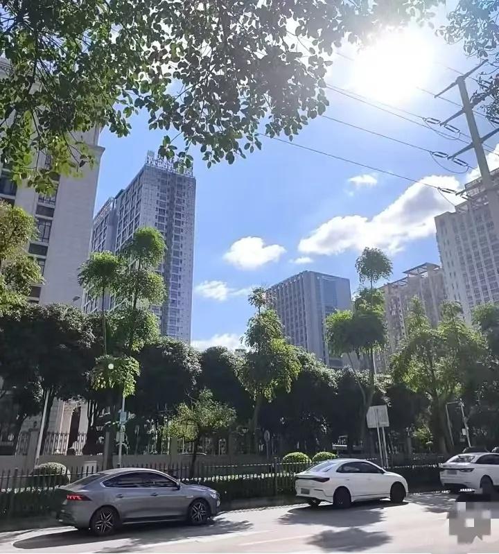 紧急通知一声，
大家做好准备！
2天过后，7月15日9点56分正式进入头伏，大家