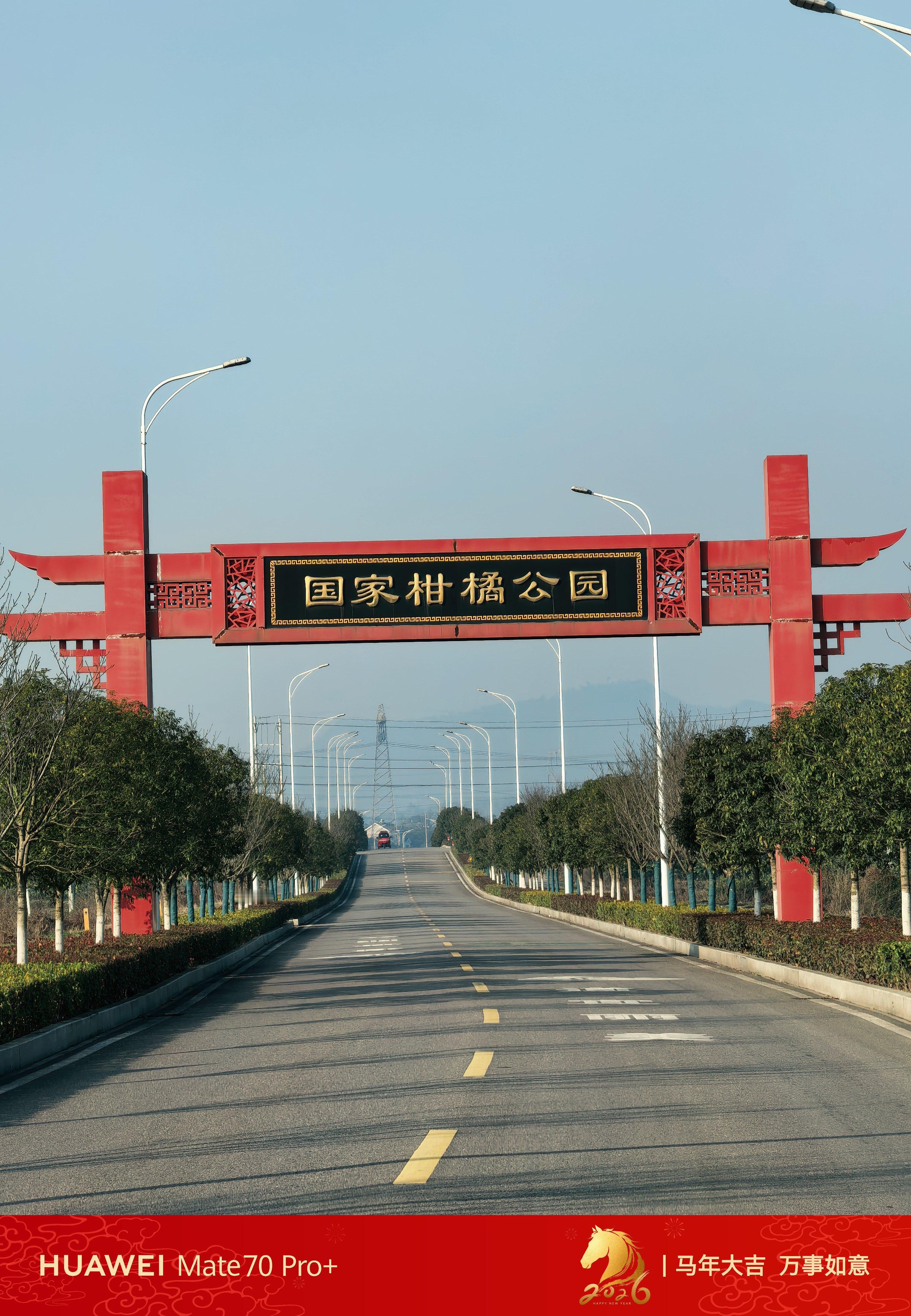 万亩柑橘公园，产量百万级别，我和合伙人的果园其中一员，合作共赢今年一定有个好收成