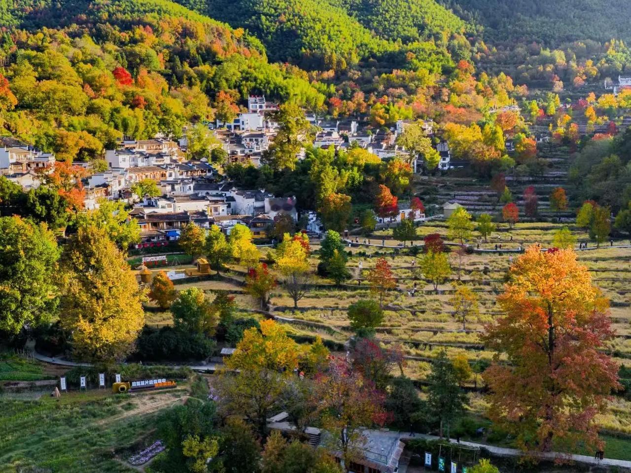 有人说美国是一个倡导人权的国家，为什么对一国的总统夫人竟然用这样的手段？其实你没