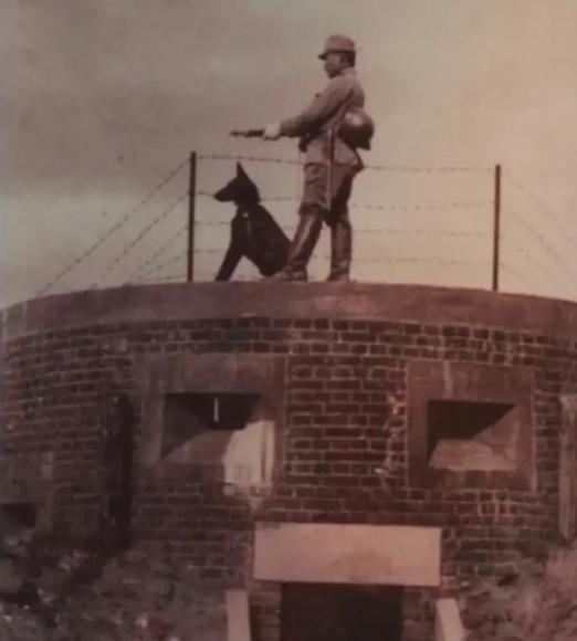 1942年，山东一个日本医生冒死救出26名八路军，全军感激涕零，罗荣桓却冷冷地说