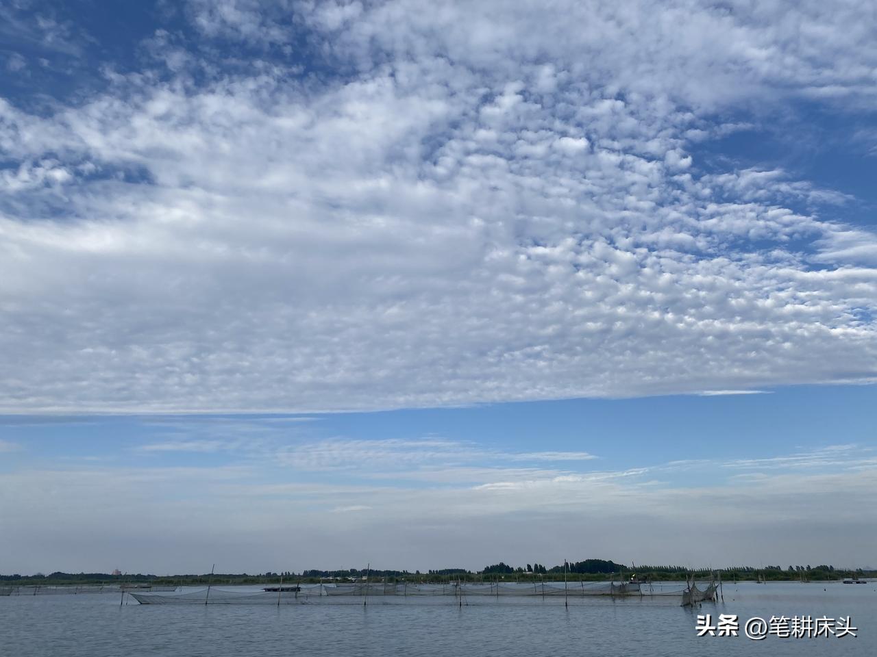 2026年，注定是演艺圈，影视圈，体育圈“祛魅”的元年，“给个面儿”不是一句口误