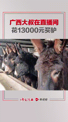 广西大叔心真大，在直播间从山东买了头活驴11000元，运费1200元， 女儿以为
