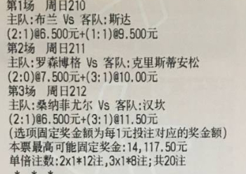 🌈鬼才奇思妙想7月12日足球想法：北欧死狗，布兰为首！210 挪超 布兰vs斯