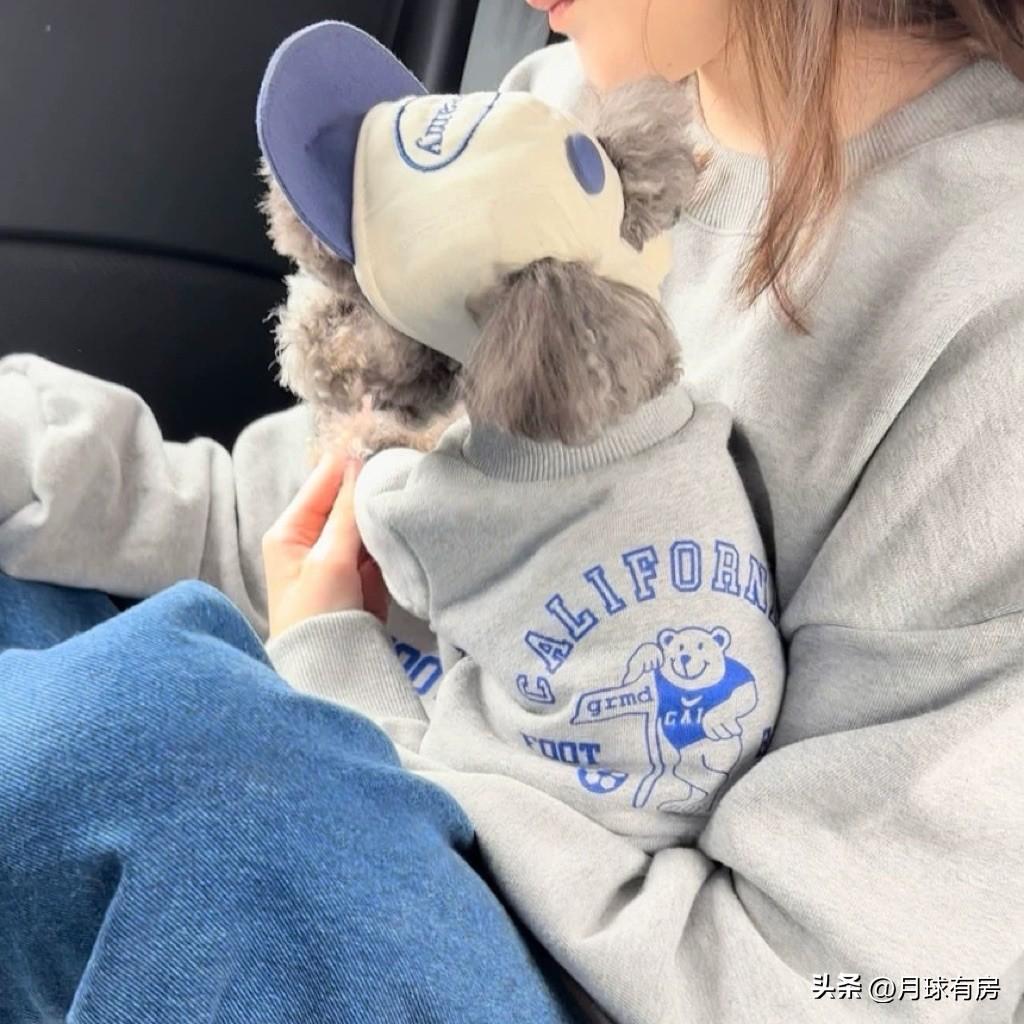 很多人一辈子都在找天赋，其实答案就藏在日常里。

真正的天赋，从来不是惊天动地的