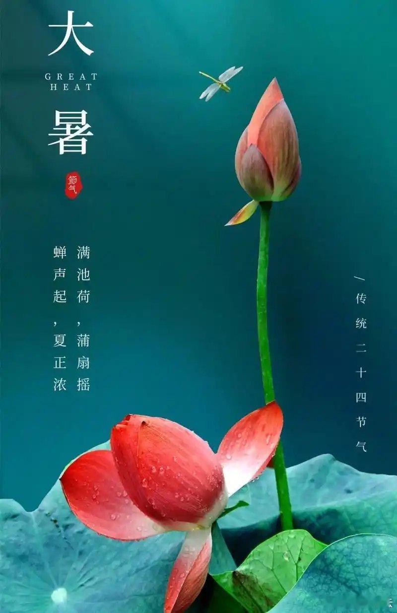 •节气诗专辑（原创首发）•       《大暑》组诗         作者/颜新
