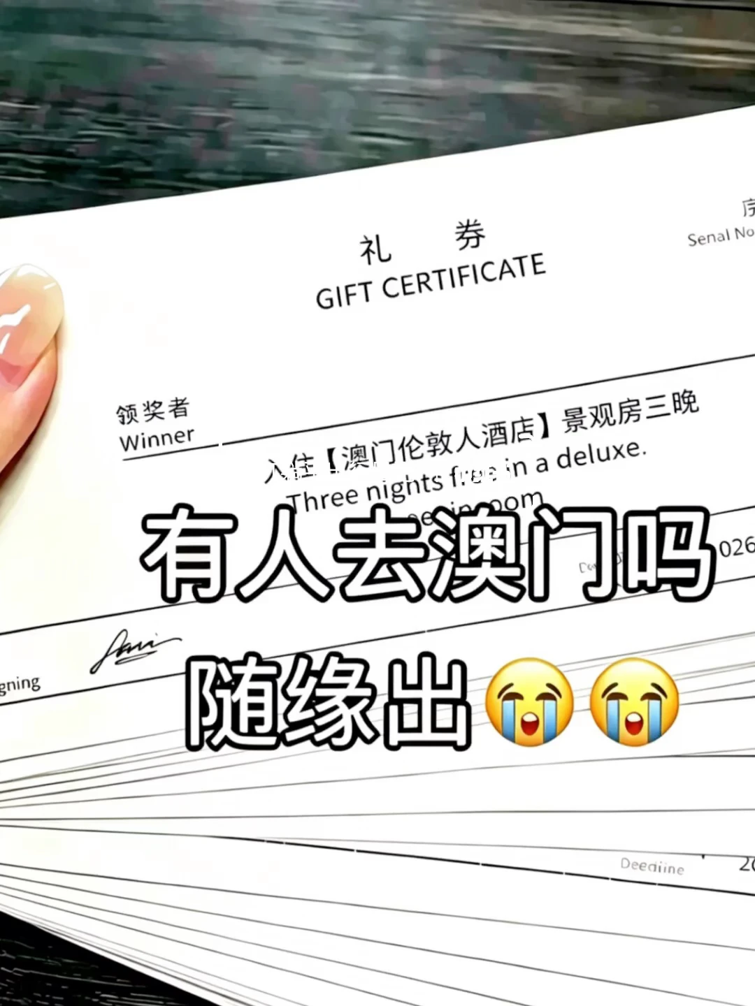 含泪😭半价急出8.4-10.30澳门伦敦人酒店