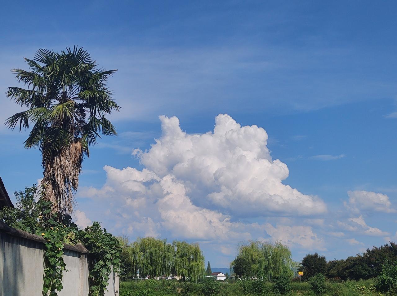 快来看看我新换的主页背景吧