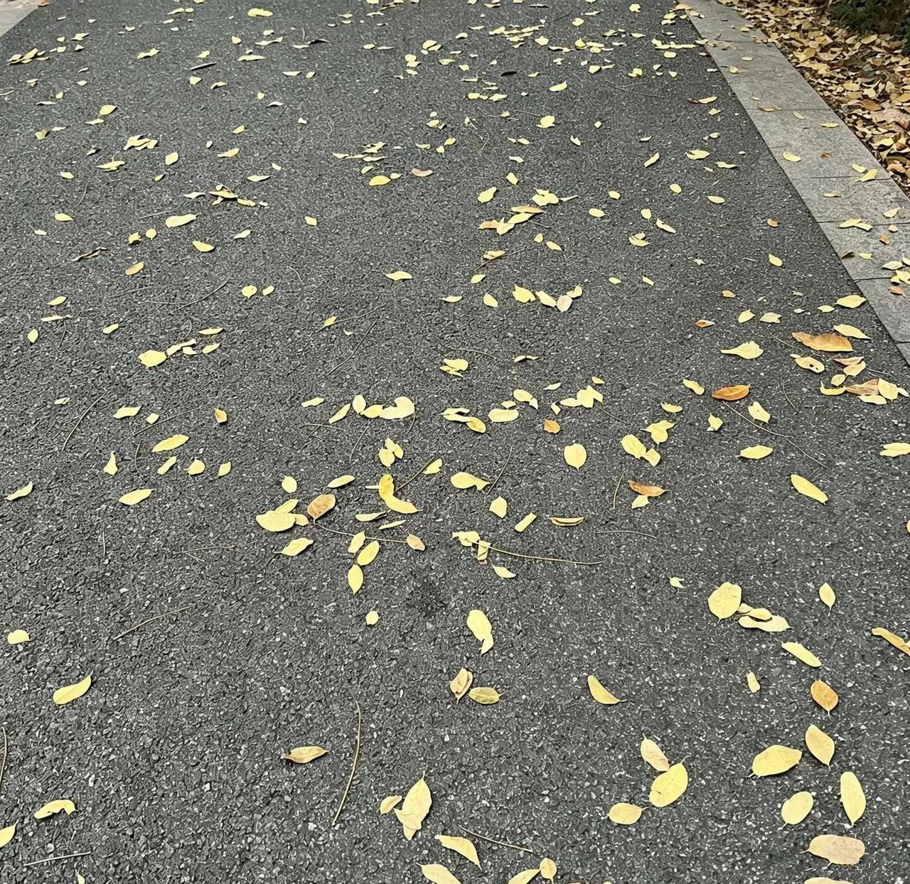 我认为喜欢就要大大方方的表达，不管结局好不好，都不要给自留下遗憾