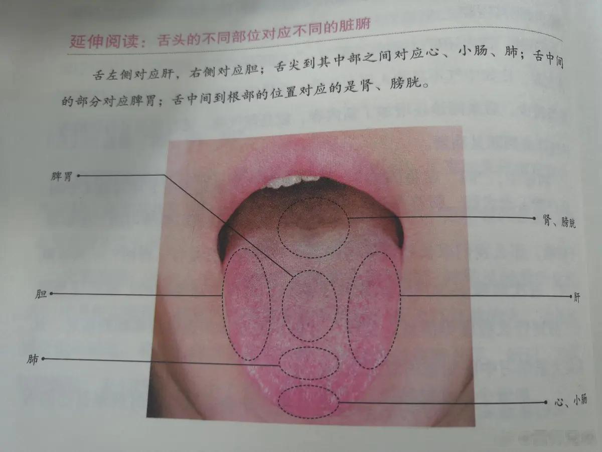 上火怎么办？五脏六腑都有火的不同表现夏天很多人都有“上火”的情况，口干、口苦、嘴