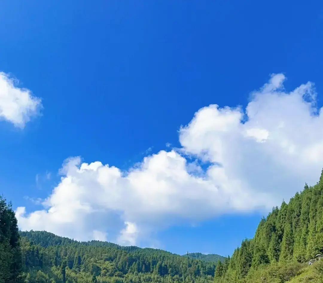 刚才娃他爸掏出25块钱拍在桌上，催着儿子赶紧下楼把那头长发理了

这小子磨蹭半天