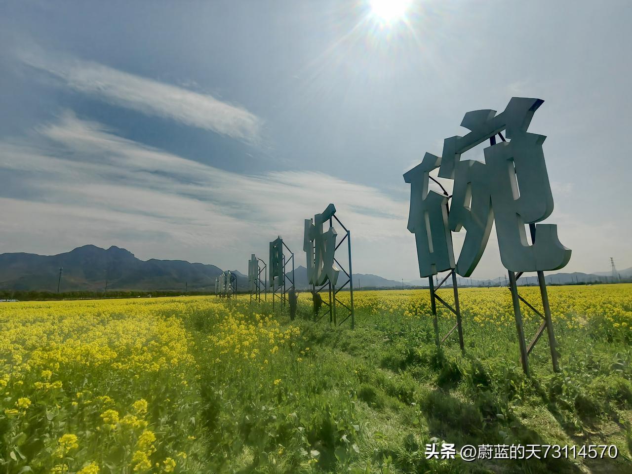 [宁波奉化，笔架山下，庙后周村，油菜花海]
[玫瑰]宁波奉化的春日，着实令人沉醉