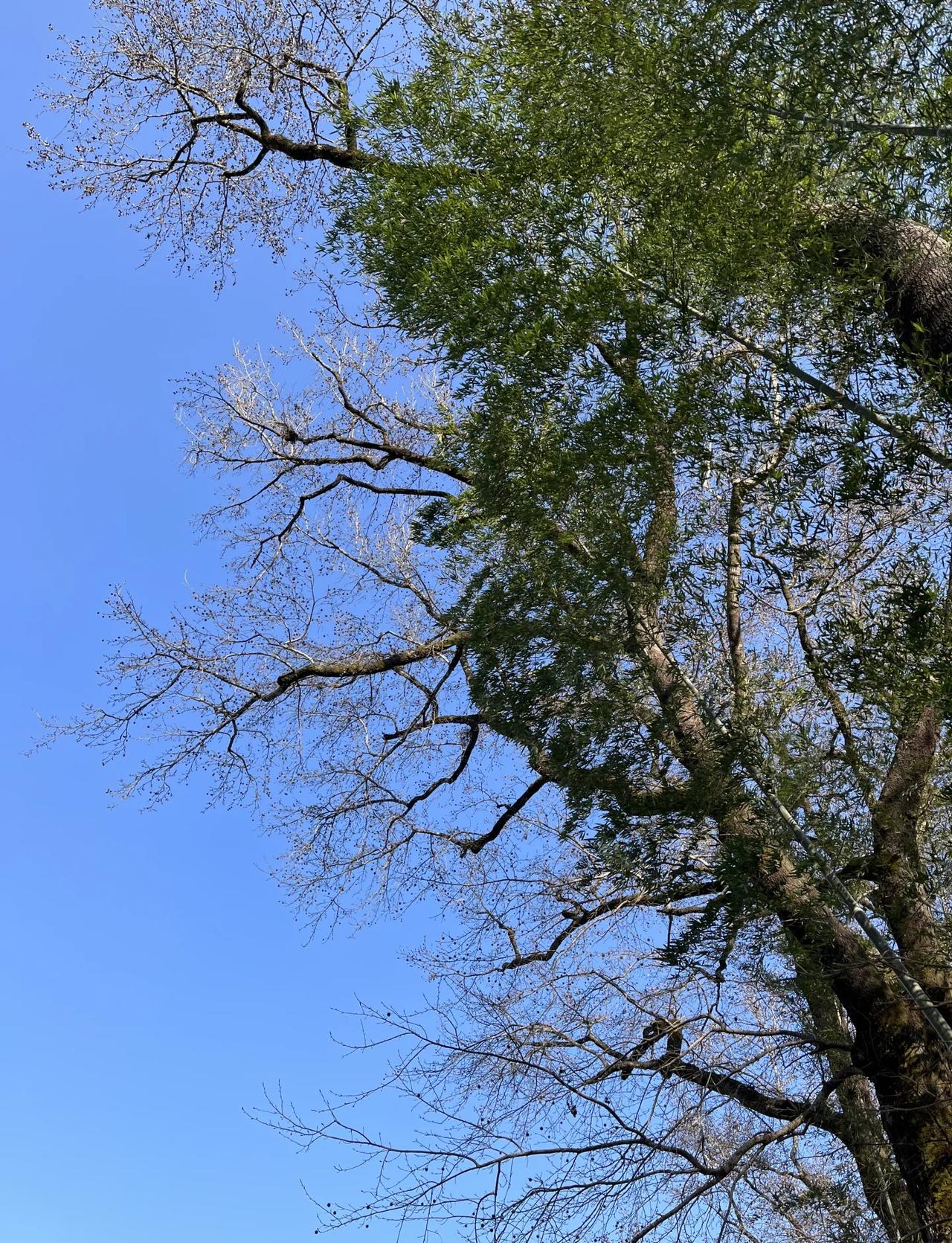 福鼎阿勒泰
徒步丈量世界 福鼎阿勒泰 城市周边露营好去处 远离城市拥抱自然 小山