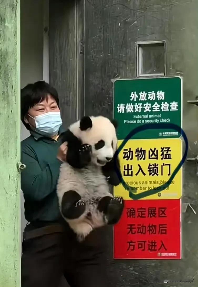 这是妹猪吸引人，还是妹猪旁边的标语吸引人？

动物凶猛。确实挺凶猛的，恶龙咆哮。