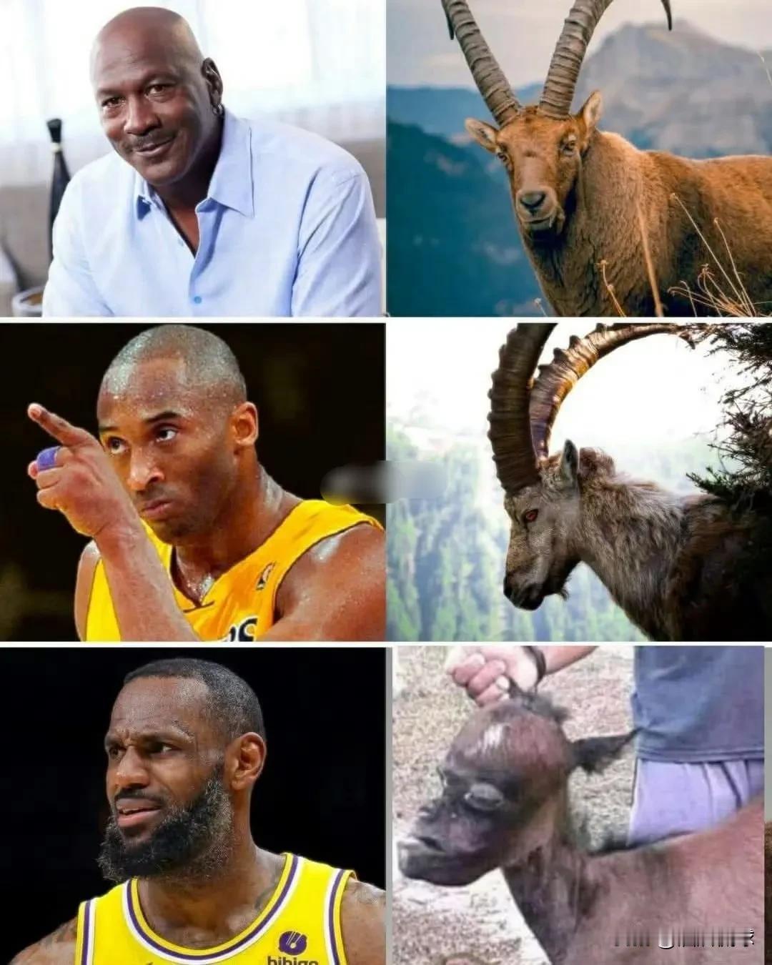 没有对比就没有伤害！网友给出NBA三个Goat，詹姆斯表示谁干的！