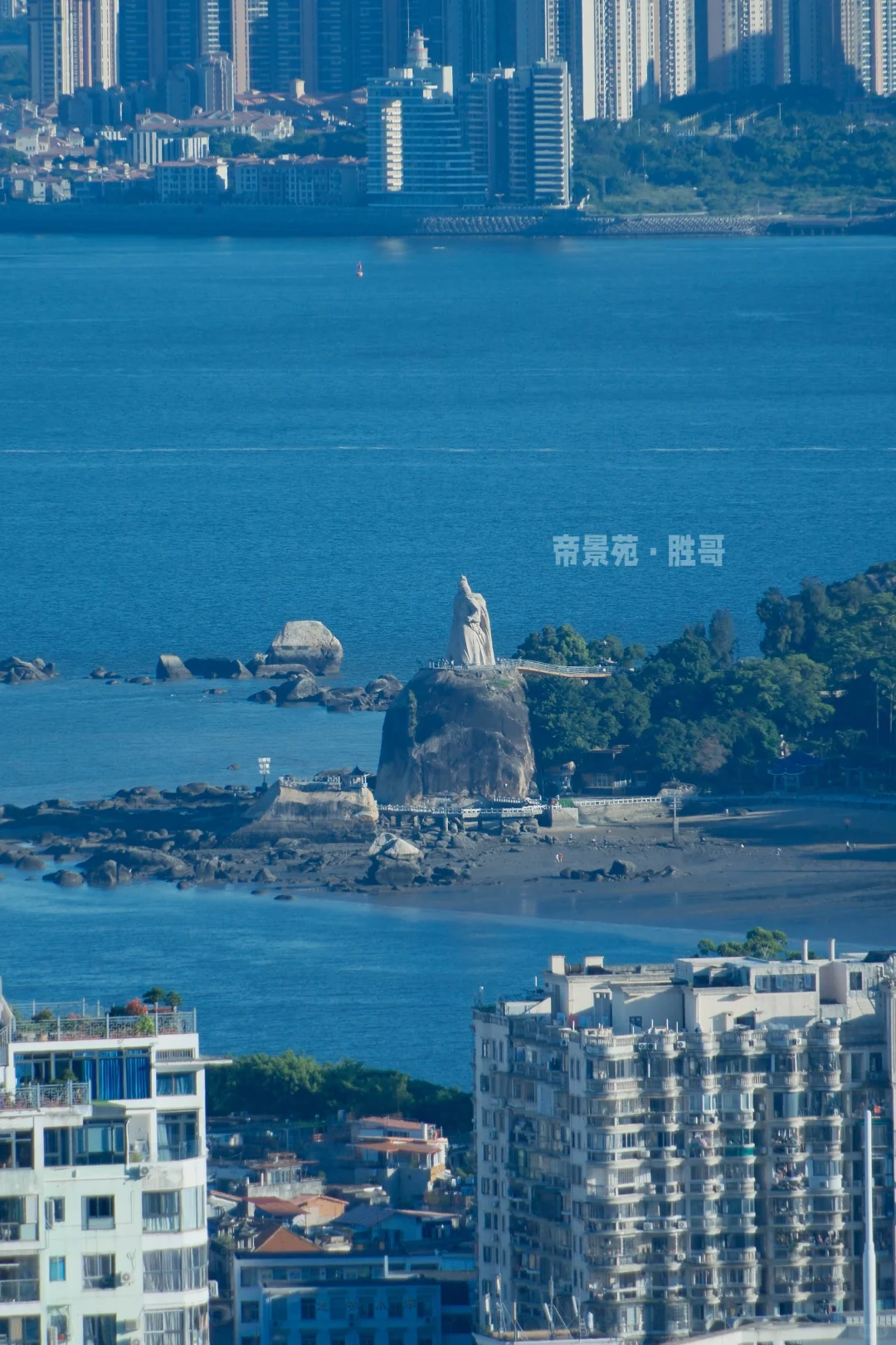 每天看一看郑成功，做啥啥成功🏆