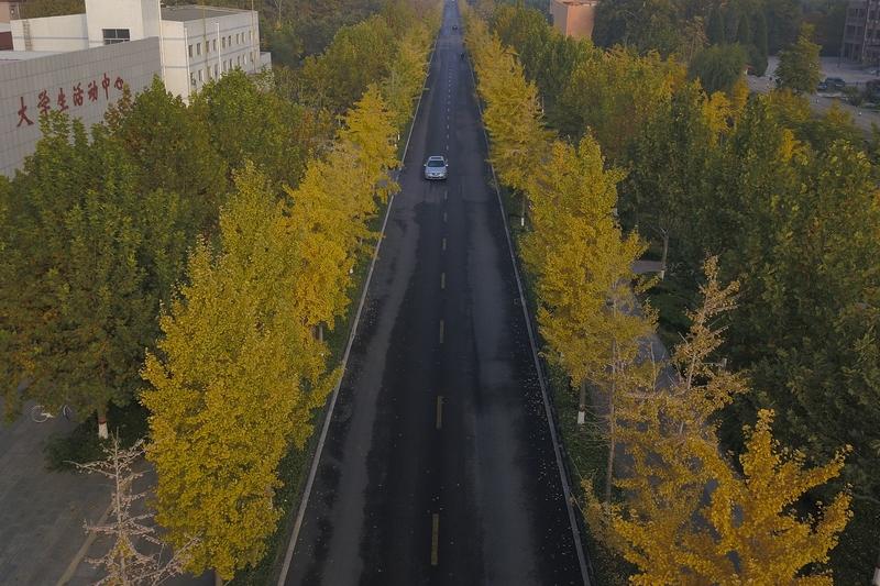 2026年寒假最幸福的同学
谁是2026年寒假最让人羡慕的大学生？从目前部分高校