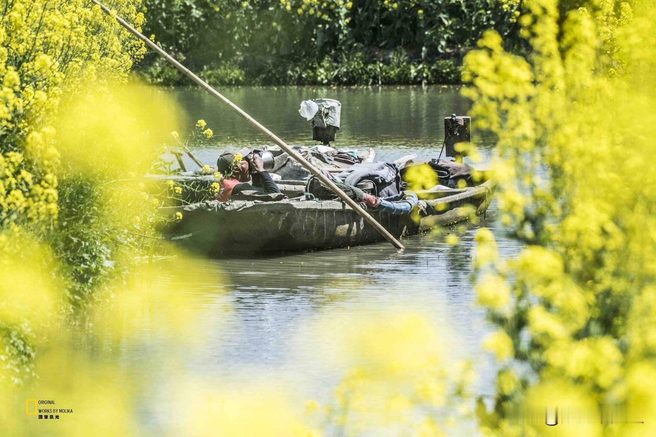 菜花漫染的水乡，扁舟泊在春光里。劳碌了一上午，于船板上摆开午餐，风裹着花香绕着餐