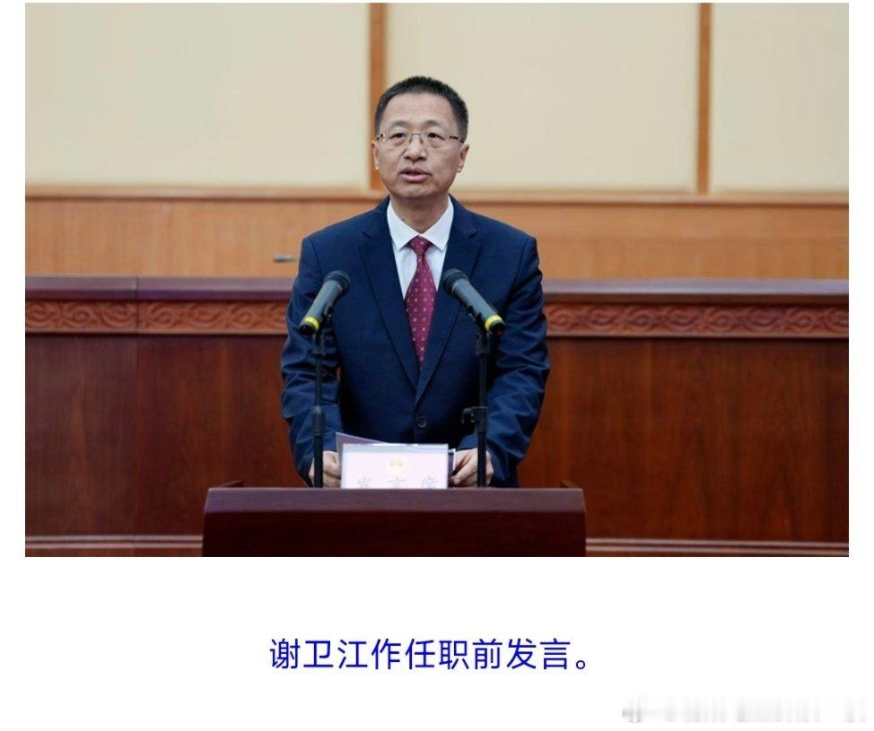 谢卫江任湖南省代省长。 ​​​