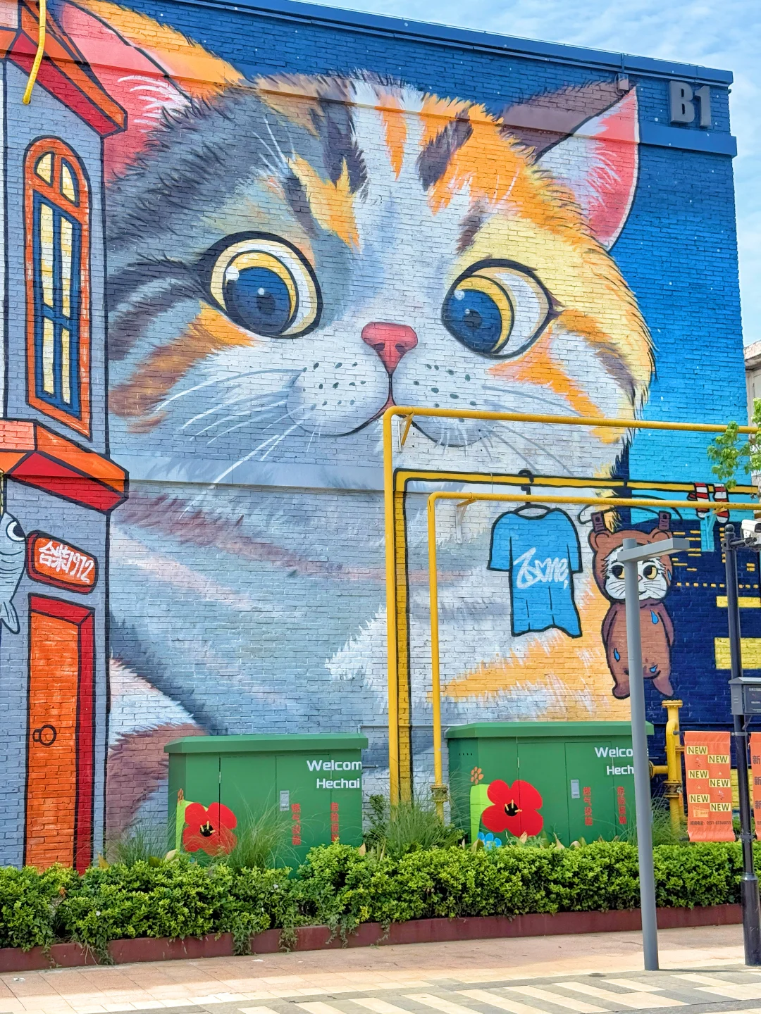 合肥旅行｜让人念念不忘的地方‼️