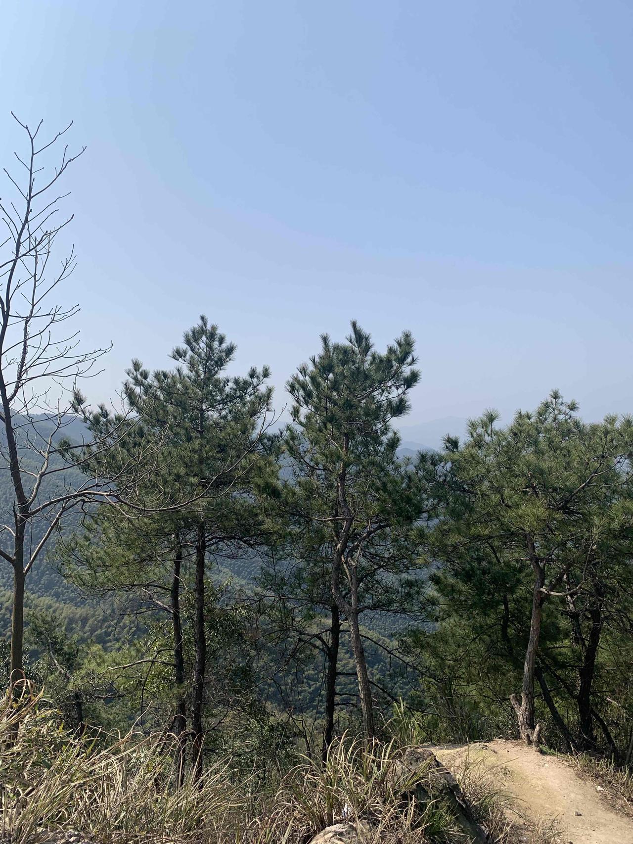 老年人健康管理措施可不少。作息上，要早睡早起，每天午睡半小时到一小时，别长时间卧