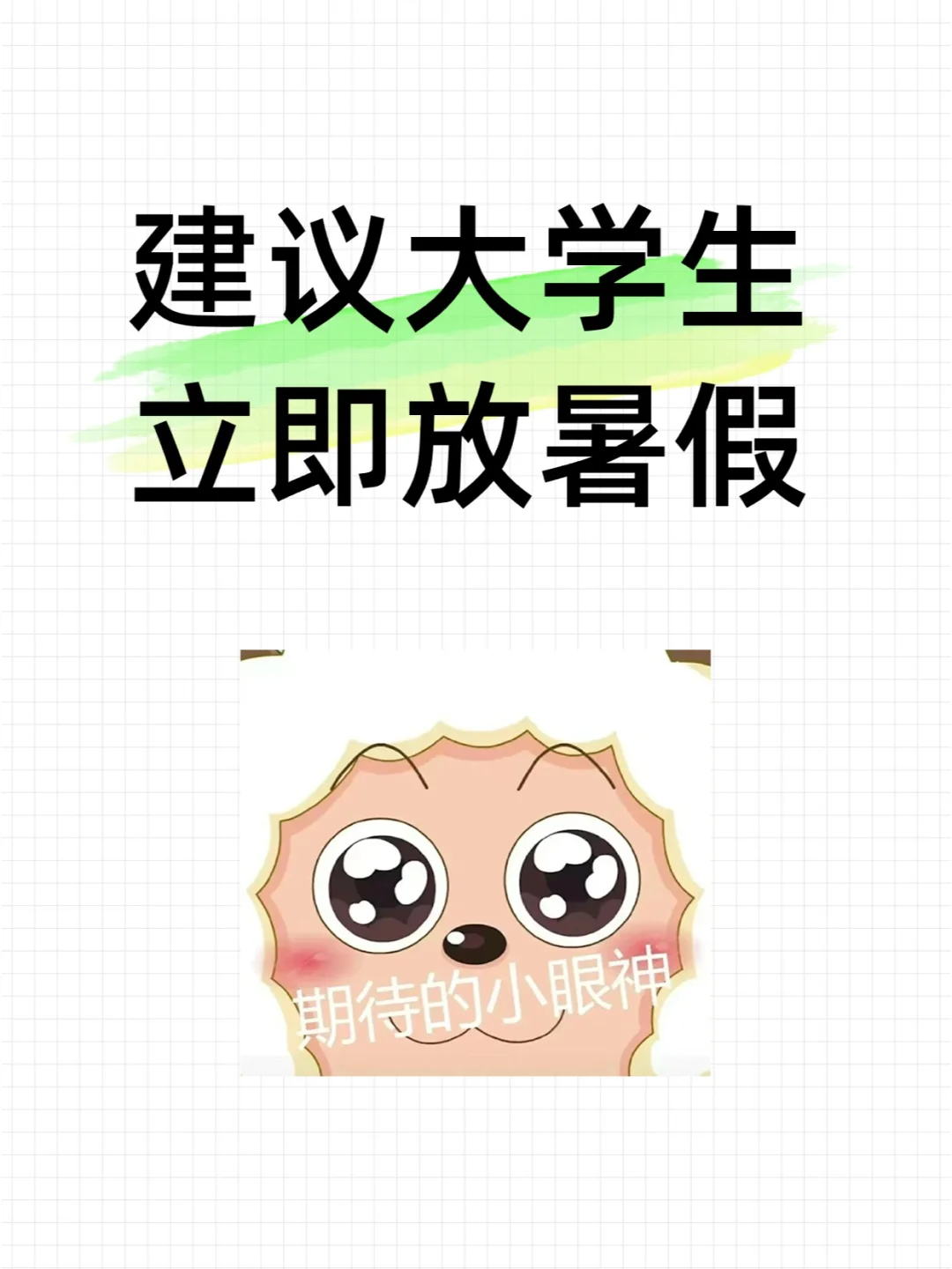 ⛔️建议大学生立即放暑假！