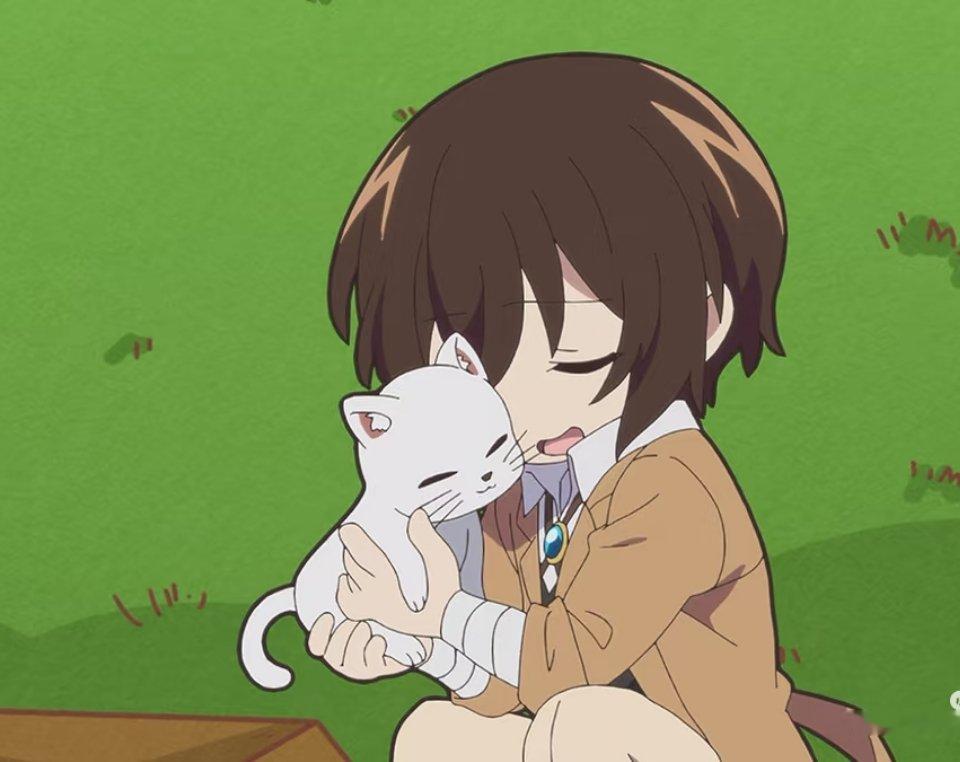 求问图上有几只猫 